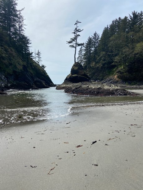 Mr SBSC model pretty pictures