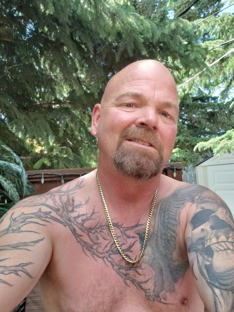 Mr Wadester adult actress image