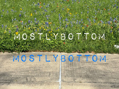 Gabe Bradshaw porn actress pic