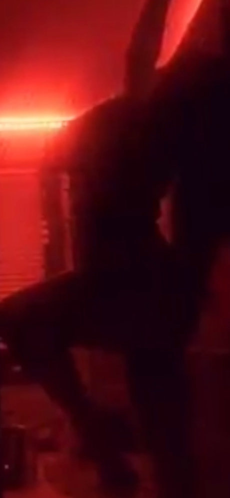 Gigi Johnson nice star picture