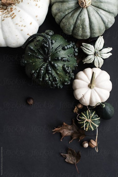 HoneyK model high quality archive