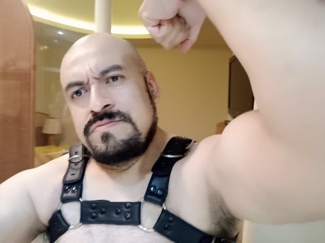 Heriberto Power Bottom free star images