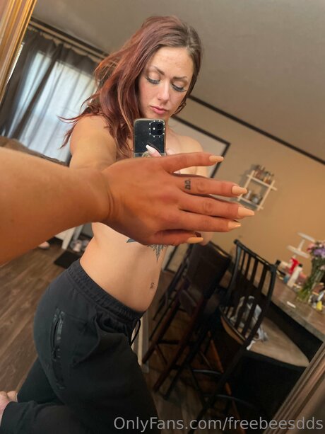 BEE S DD S star free picture