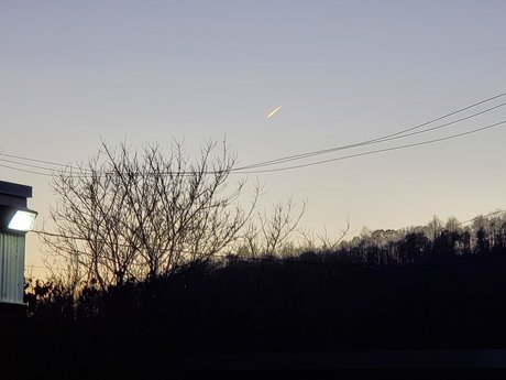 Dikembe Johnson model pornographic pics