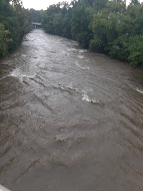 MR LongMan sexy actress pic