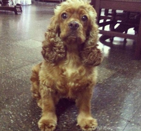 reverse gangbang onlyfans erotic archive