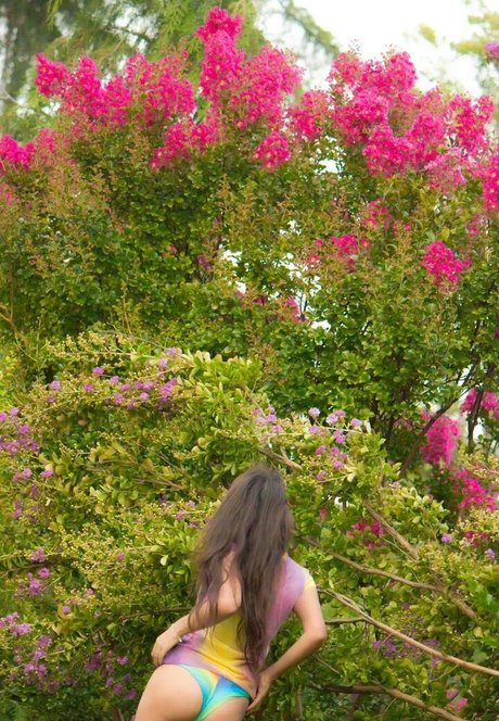 Azucarysal Profile pic