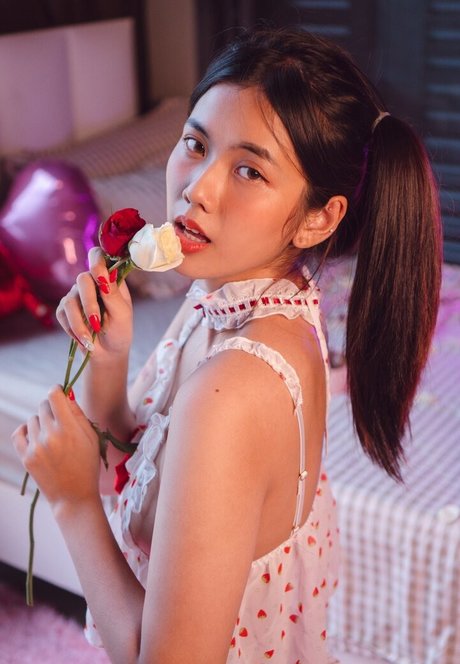 Sandydao beautiful star photos