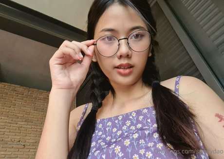 Sandydao star pics