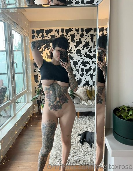 lorettaxrose art star pics