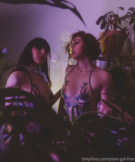 plantgalfree hd star gallery