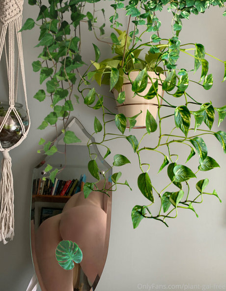 plantgalfree pornstar xxx images