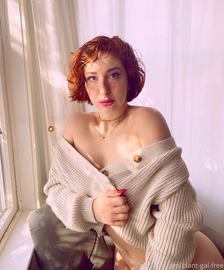 plantgalfree star art galleries