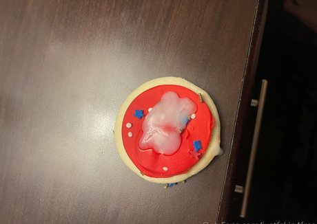 justfckin4free pornstar erotic gallery