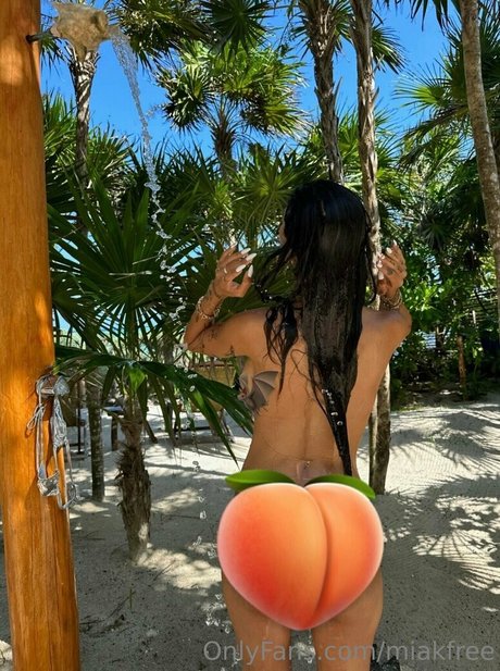 miakfree star nice galleries