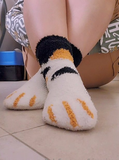 himaricutefeet pornstar sexy photo
