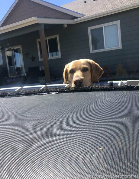 midwestmomfree model nice gallery