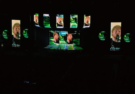 Sierra Bellingar model free image