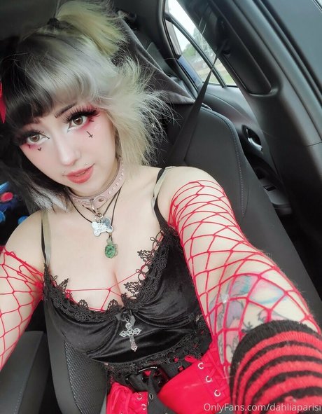 dahliaparisi star adult image