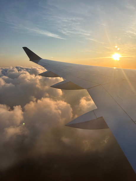 Mulaan model top photo