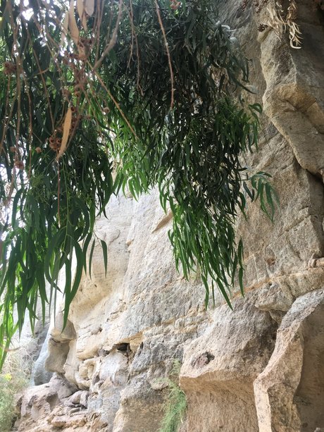 Eri_ best model image