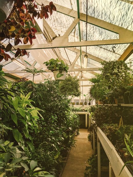 Earth Angel_ best star image