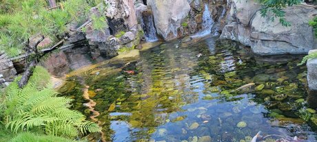 Mystibabe adult actress gallery