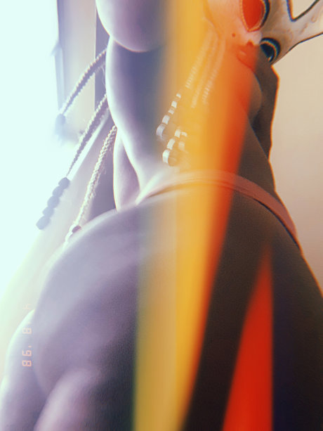 stars onlyfans nude gallery