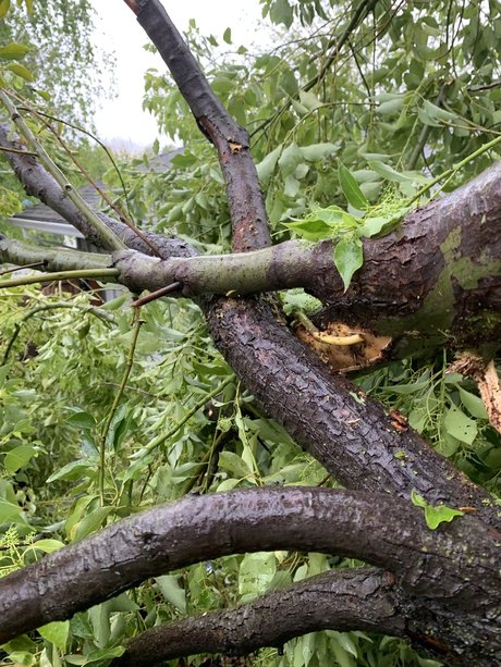 u3653168 naked model gallery