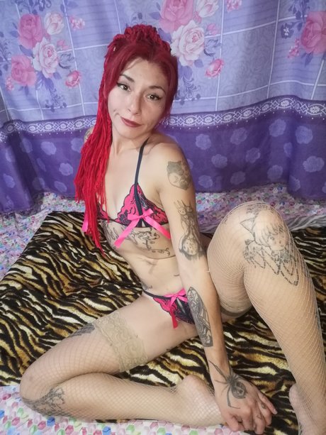 Gatita Feleena star hd galleries