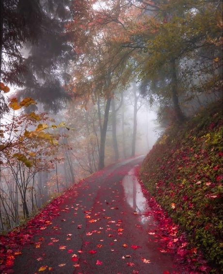 Aconite pornstar top gallery