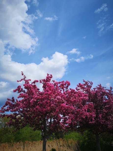 Echoiing pornstar high quality img