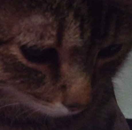 PussyPicsLimited 3 beautiful model image