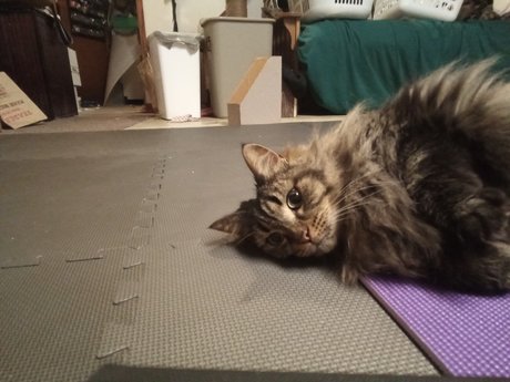 PussyPicsLimited 3 erotic actress photo