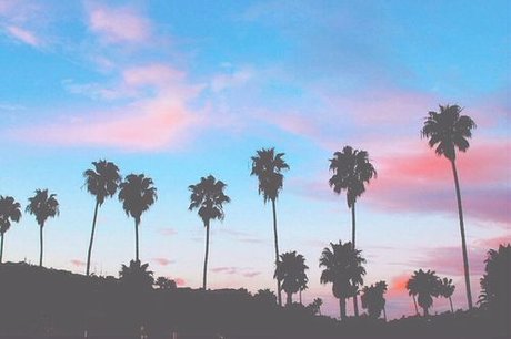 Emma Sunflower hd star photos