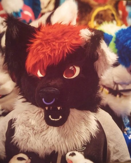 Kota pornstar pretty picture