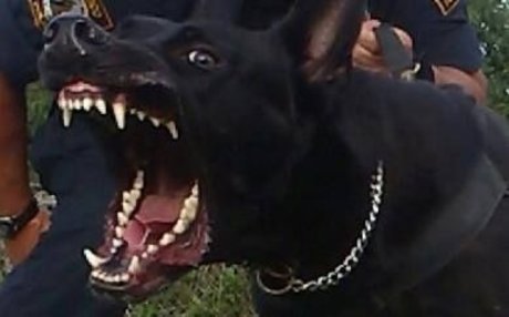 ace nude model gallery