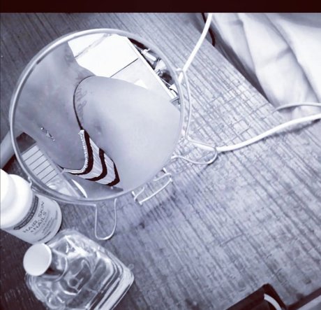 Nalah Nellss star pornographic gallery