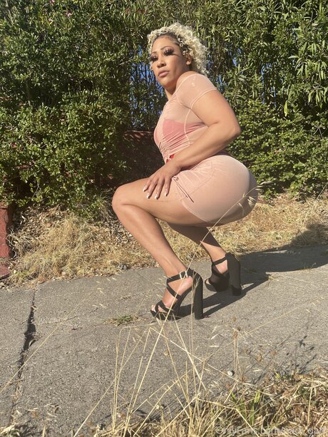 Nadi Hustle star hd galleries