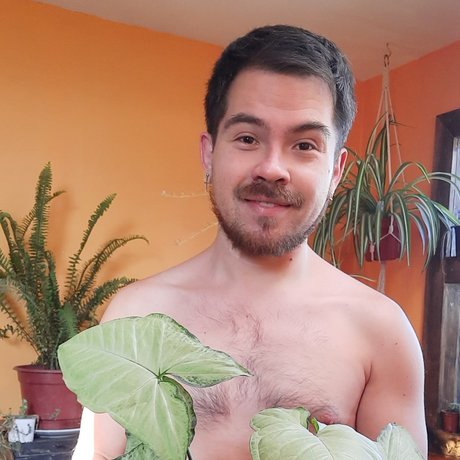 NachoPlantitas star adult img