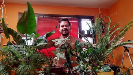 NachoPlantitas model hd image