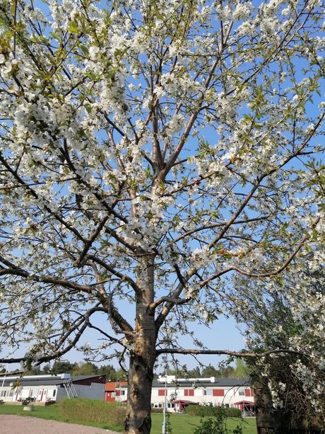 Curvy Libby pretty pornstar pictures