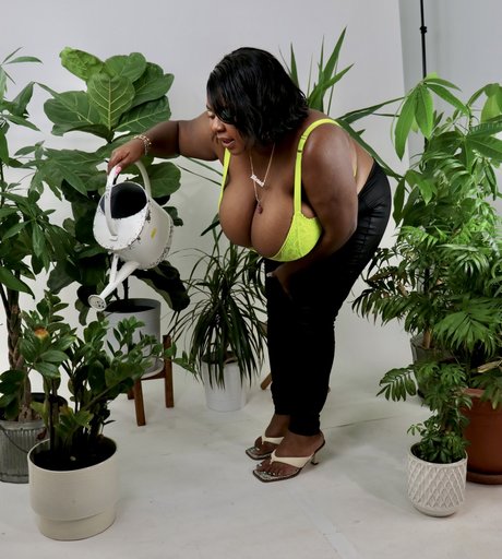 Da Plump free pornstar photo