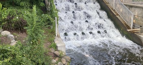 B The Fairy_ xxx actress image