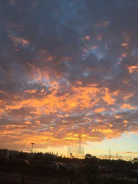 Stef_ perfect pornstar pictures