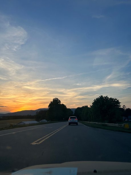 nay pretty pornstar img