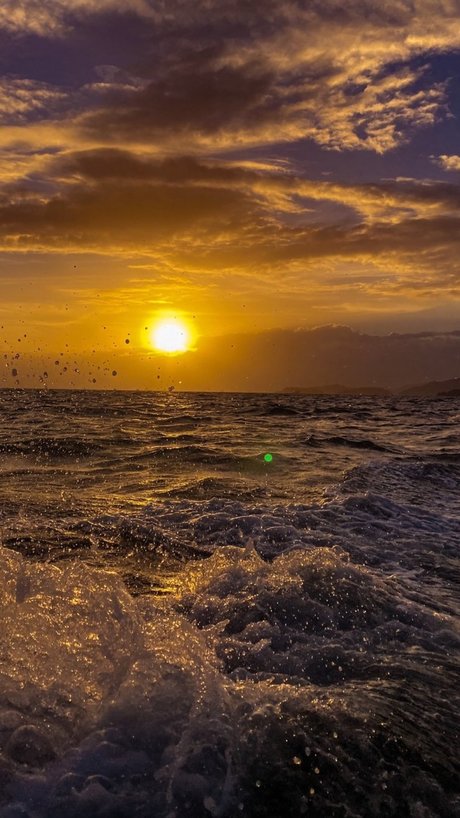 now we re connected thru expreSSion_ hd pornstar archive