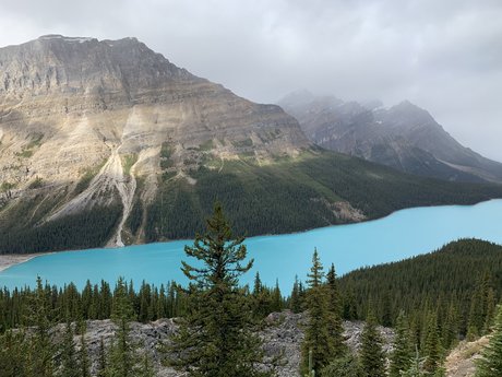 Nancy Van sex pornstar photo