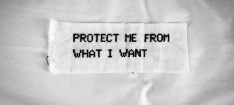 _Daisy the Queen beautiful star photos