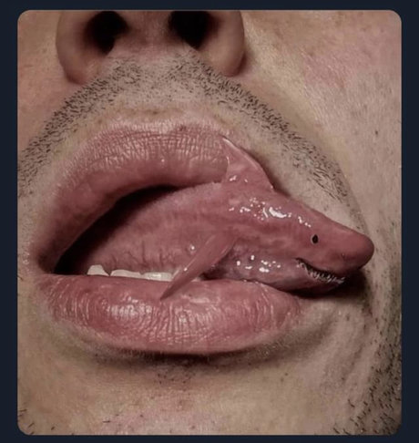 Cole Chino perfect pornstar images